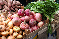Fresh vegetables potato Fresh vegetables potato